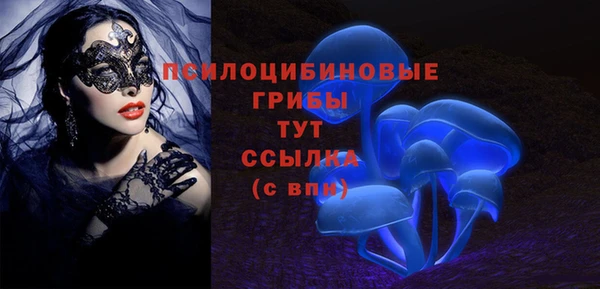 ALPHA PVP Алексин